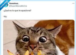 Enlace a Fácil, barato y para toda la familia por @supermanumolina