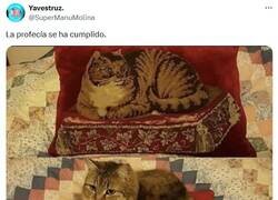 Enlace a Se veía venir que se iba a sentir por @supermanumolina