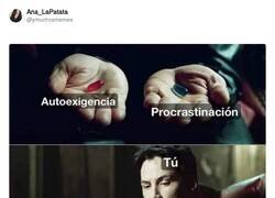 Enlace a Temo decirte que no son compatibles, por @ymuchosmemes