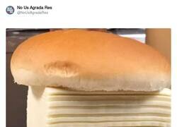 Enlace a Creo que le falta queso, por @NoUsAgradaRes