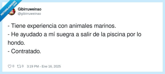 experiencia,contratado,animales marinos,ayudar,piscina