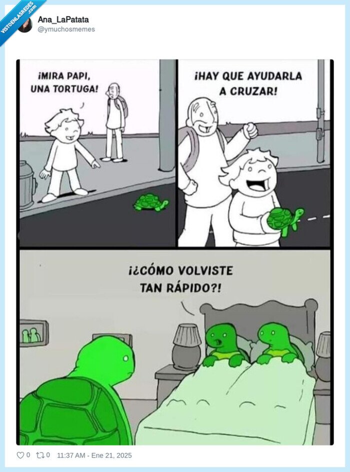 tortuga,pillada,rapido