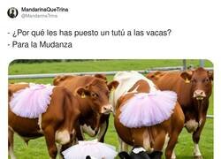 Enlace a La mu-danza, por @MandarinaTrina