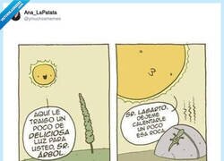 Enlace a El Sol tiene para todos, por @ymuchosmemes
