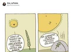 Enlace a El Sol tiene para todos, por @ymuchosmemes