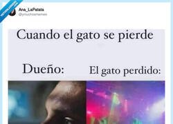 Enlace a Tranqui, siempre acaba volviendo, por @ymuchosmemes