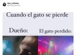Enlace a Tranqui, siempre acaba volviendo, por @ymuchosmemes