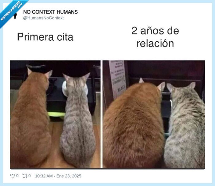 relacion,pareja,engordar,gatos