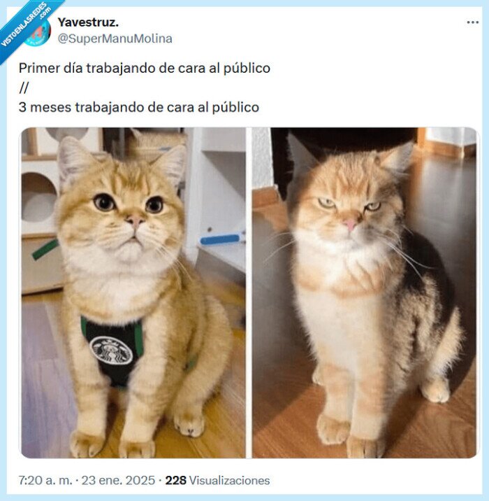 público,trabajar,cara