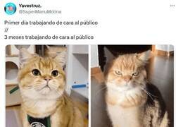 Enlace a Ya no tiene gracia por @supermanumolina