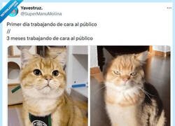Enlace a Ya no tiene gracia por @supermanumolina