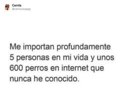 Enlace a Pensaba que era el único, por @camizuluagag