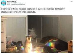 Enlace a POR FIN por @supermanumolina