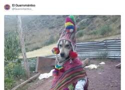 Enlace a Todo un brujo, por @Guarromantico_