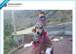 Enlace a Todo un brujo, por @Guarromantico_