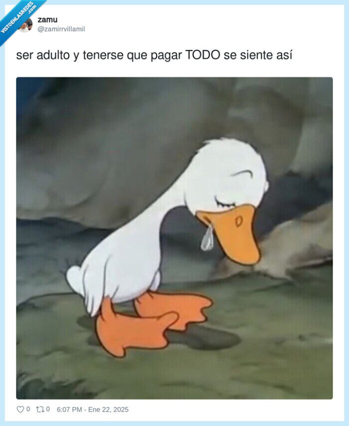 adulto,sentir,pagar,todo