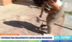 Enlace a Periodista está en directo hablando de delicuencia cuando un michi la despista y se va con él