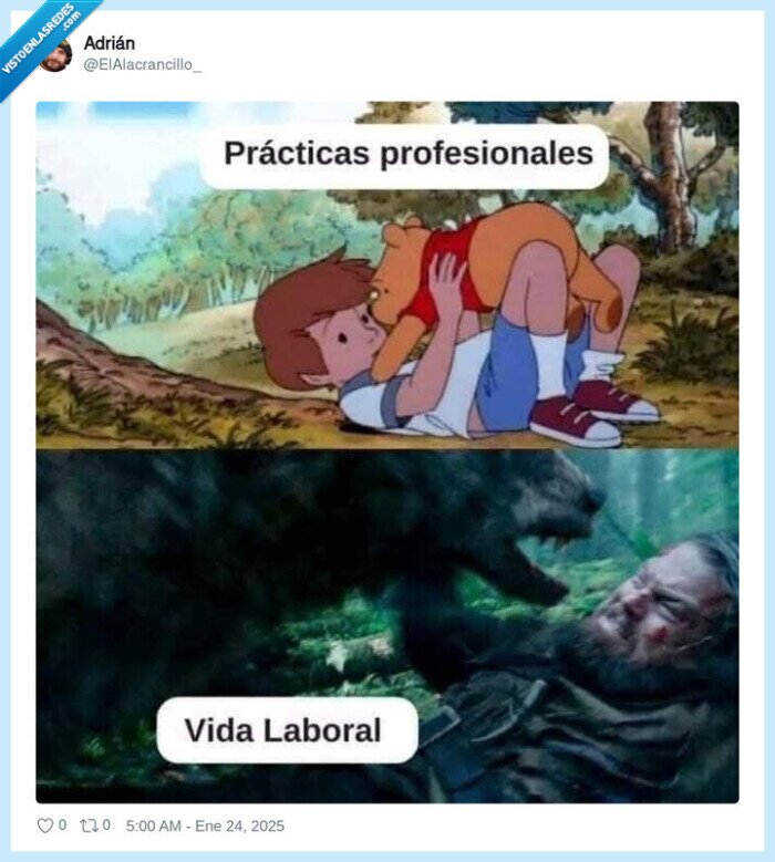 vida laboral,practicas