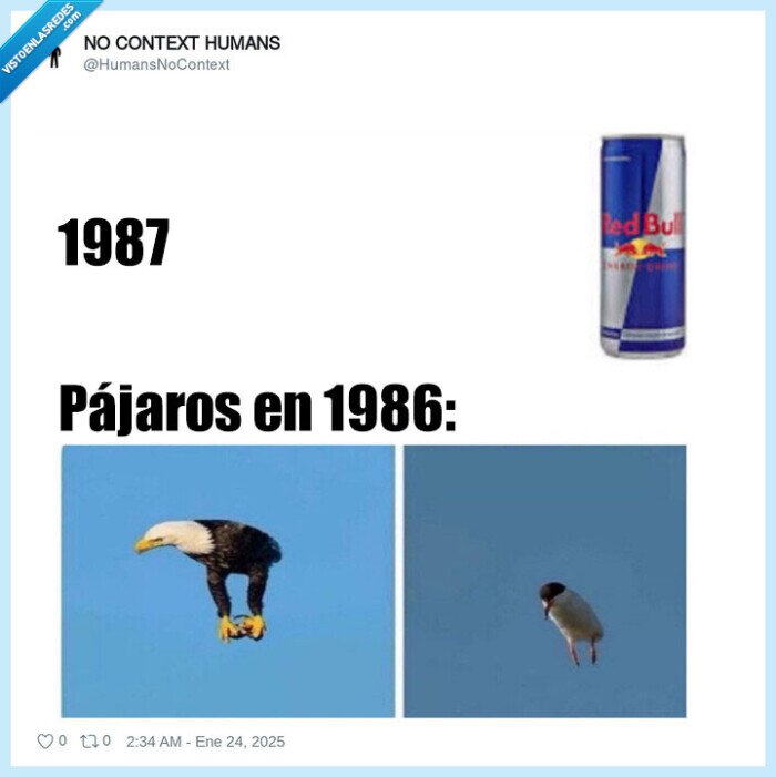 1688424 - Los pájaros antes de Redbull, por @HumansNoContext
