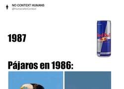 Enlace a Los pájaros antes de Redbull, por @HumansNoContext