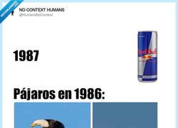 Enlace a Los pájaros antes de Redbull, por @HumansNoContext