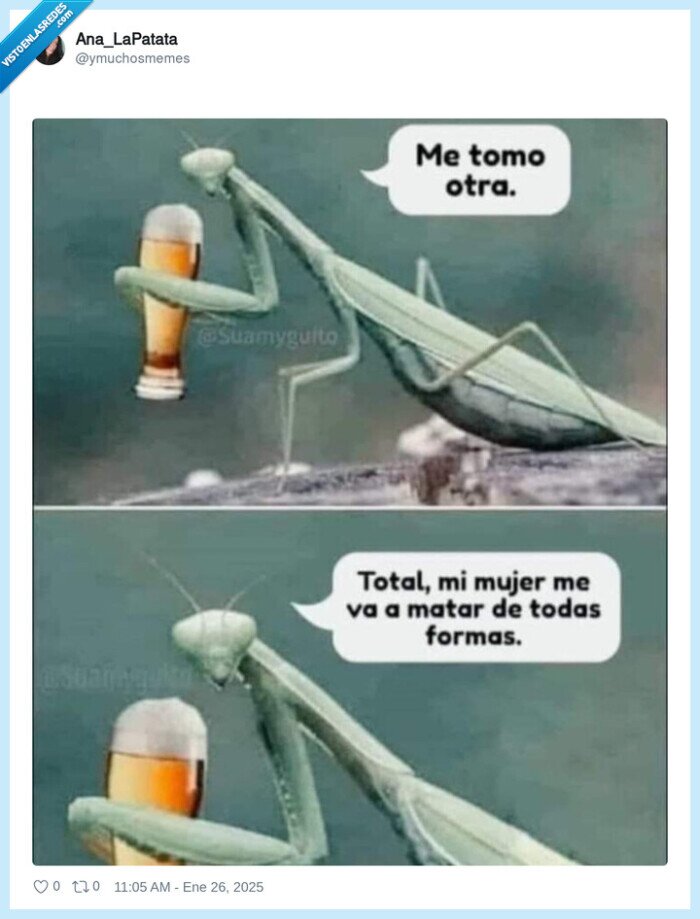 mantis religiosa,cerveza,birra