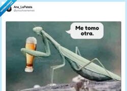 Enlace a De perdidos al río, por @ymuchosmemes