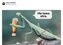 Enlace a De perdidos al río, por @ymuchosmemes