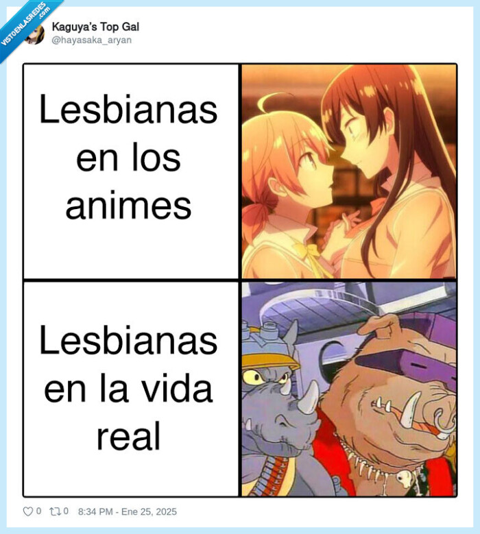 bebop,rocksteady,lesbianas,vida real,anime