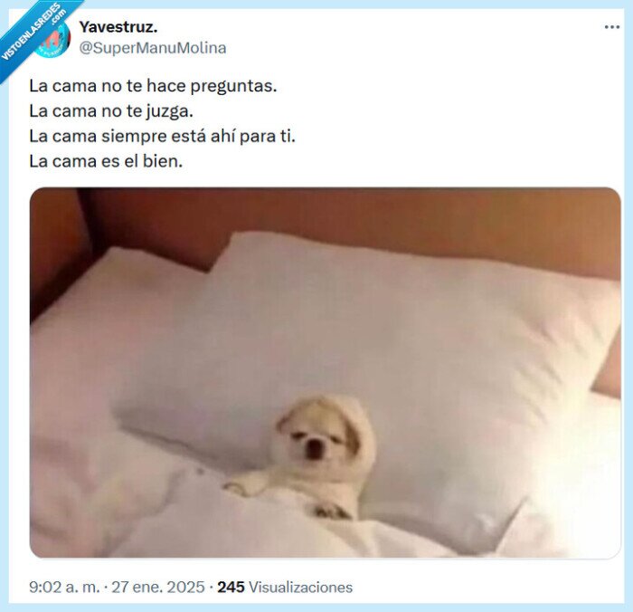 cama,dormir,juzgar