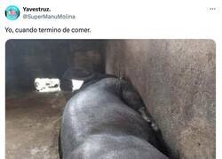 Enlace a A mimir la siesta, por @supermanumolina
