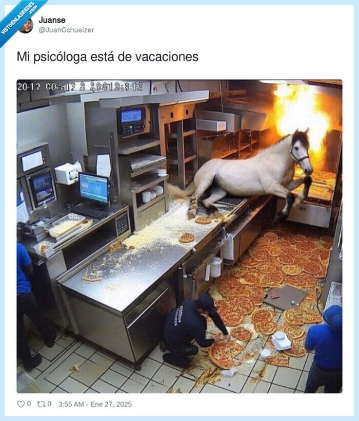vacaciones,psicologa,caballo,pizza