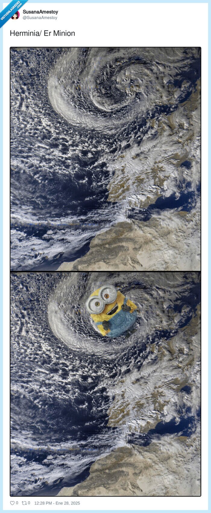 herminia,minion