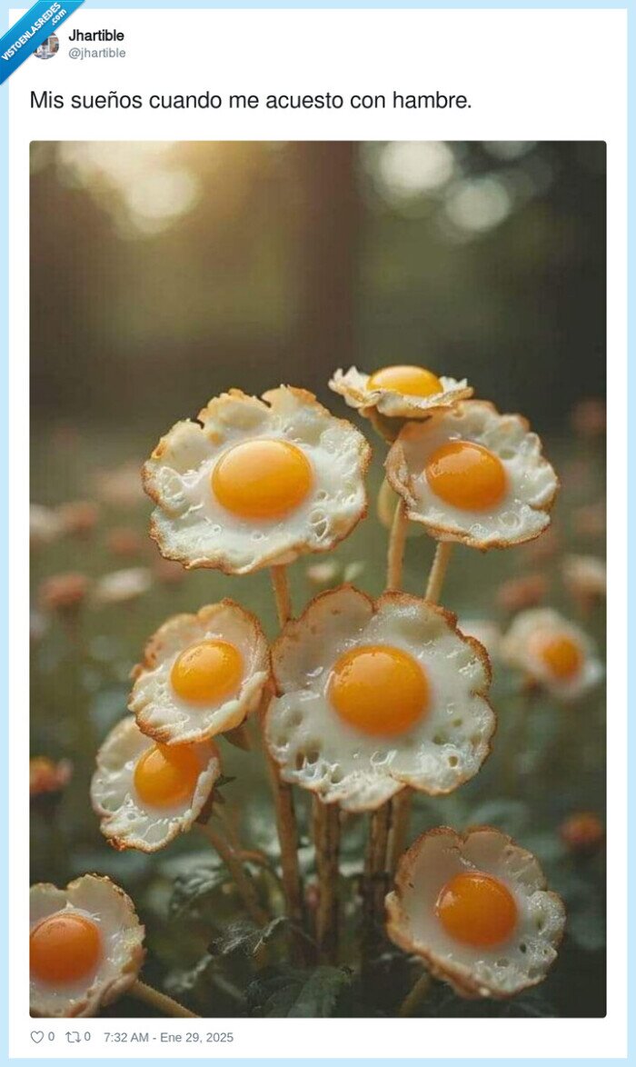 sueños,acostarse,huevos,hambre