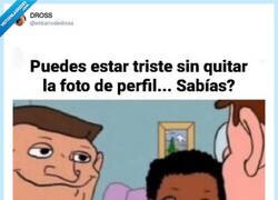 Enlace a Solo queréis casito, por @eldiariodedross