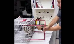 Enlace a Distintas formas de darles vacunas a los gatos para que no te la líen