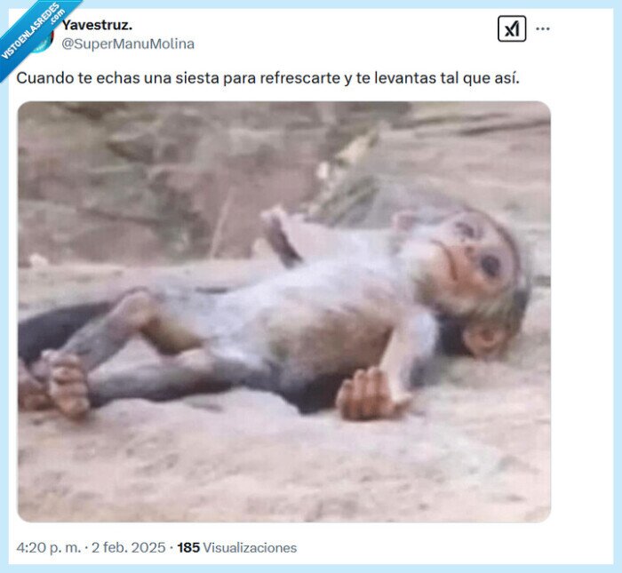 siesta,refrescarse