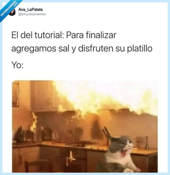 incendio,receta,cocina,gato