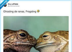 Enlace a Me gusta el concepto de frogsting, por @ymuchosmemes