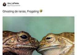 Enlace a Me gusta el concepto de frogsting, por @ymuchosmemes