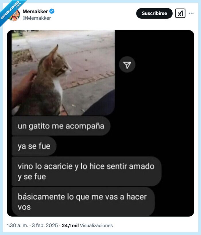 gato,acariciar,abandonar,amar