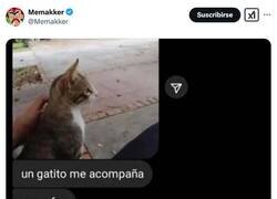 Enlace a Al menos lo tiene asumido, por @Memakker