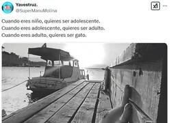 Enlace a La dolce vita por @supermanumolina
