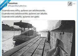Enlace a La dolce vita por @supermanumolina