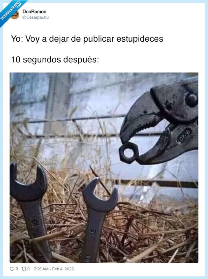 tonterias,chorrada,pajaro,llave inglesa