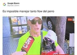 Enlace a Qué flow surfero el perro, por @google_bizarro