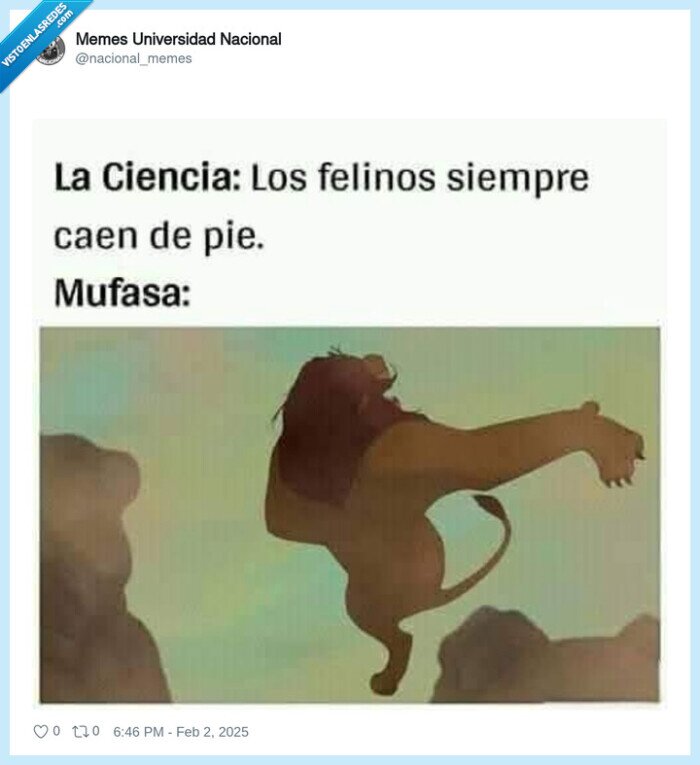 felinos,caer,mufasa,rey leon