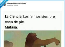 Enlace a Mufasa es la excepción que rompe la regla, por @nacional_memes