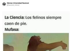 Enlace a Mufasa es la excepción que rompe la regla, por @nacional_memes