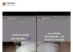 Enlace a Ay pobre, por @Memakker